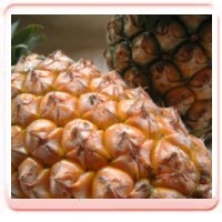 http://pineapple.chenhong.com.tw/catalog/images/pineapple56.jpg
